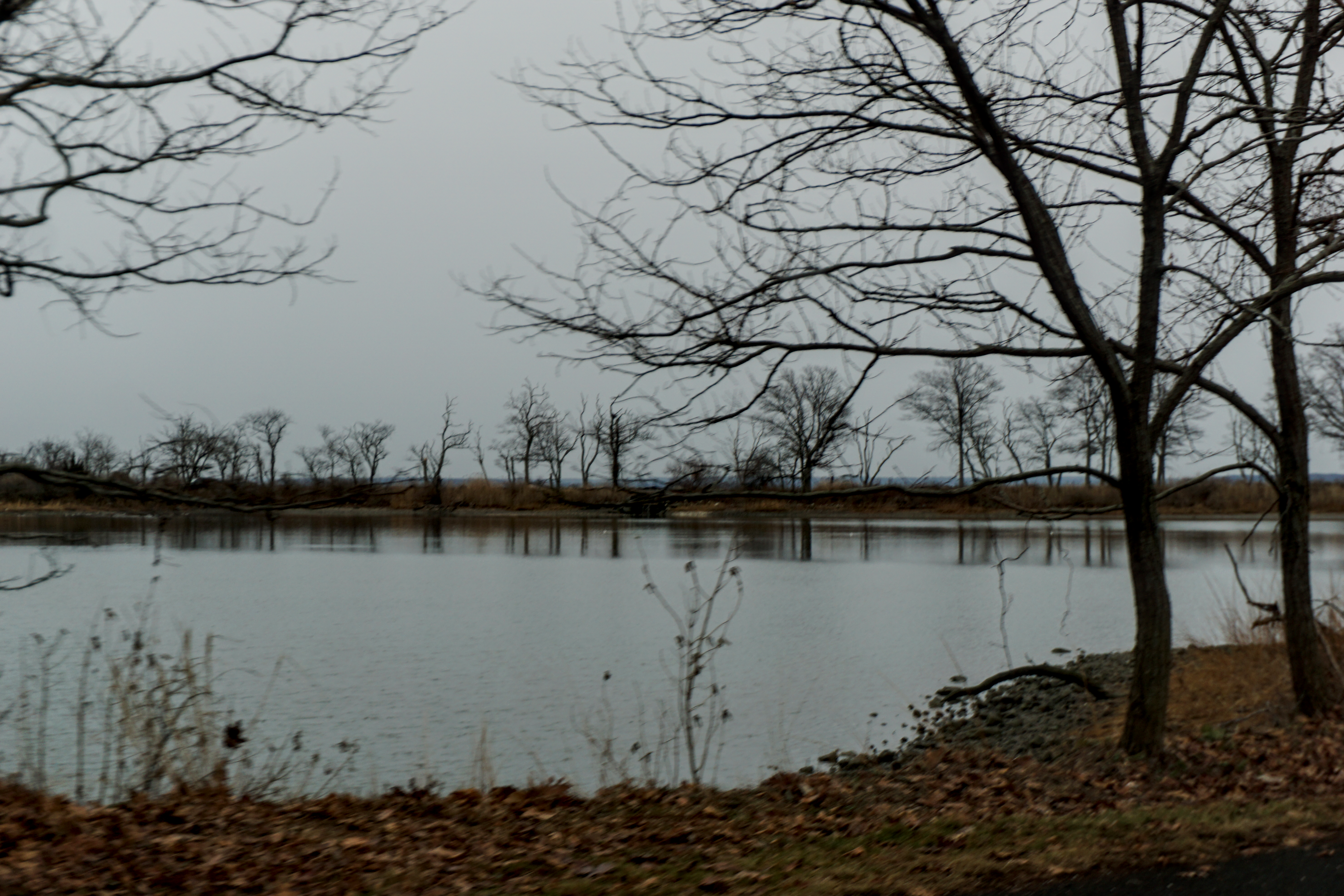 Photo 07